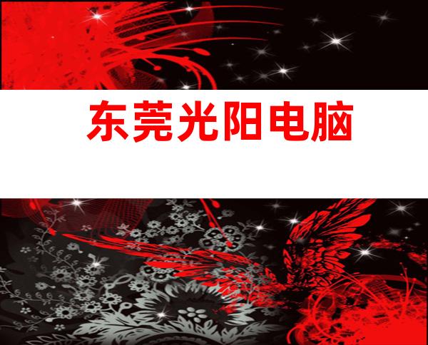 东莞光阳电脑