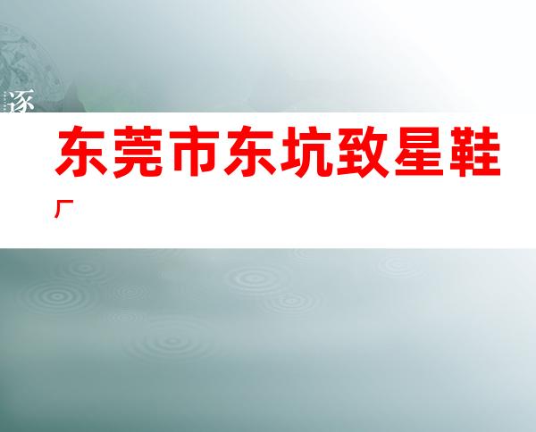 东莞市东坑致星鞋厂