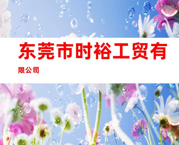东莞市时裕工贸有限公司
