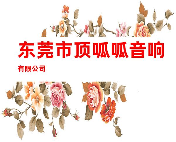 东莞市顶呱呱音响有限公司