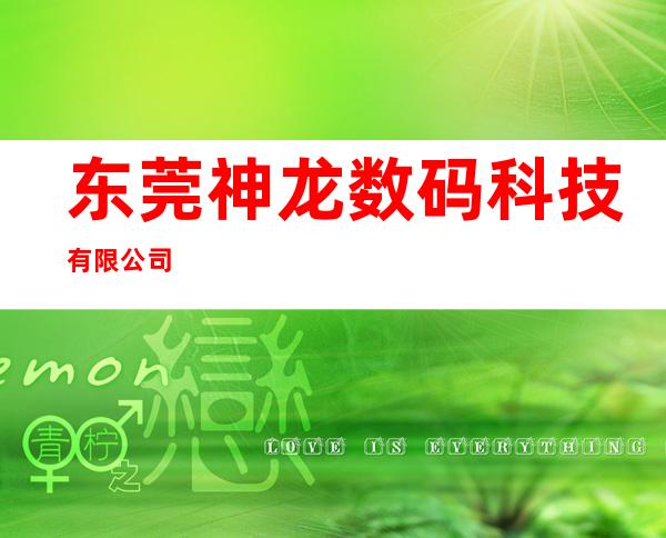 东莞神龙数码科技有限公司