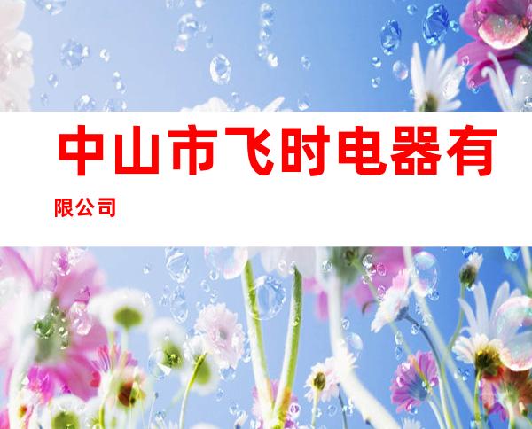 中山市飞时电器有限公司