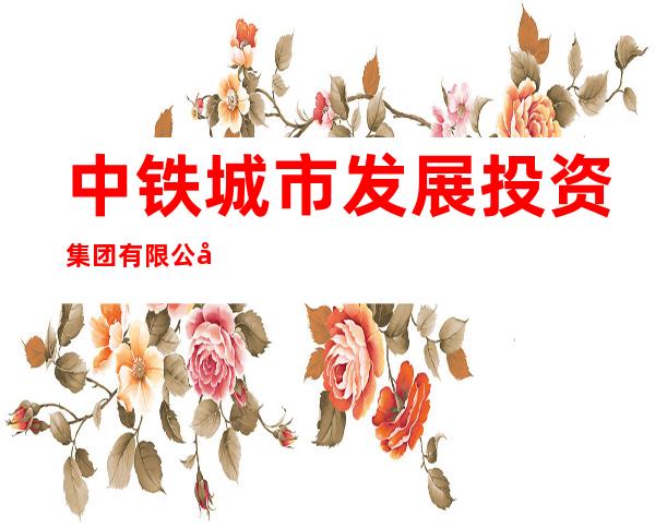 中铁城市发展投资集团有限公司西藏分公司