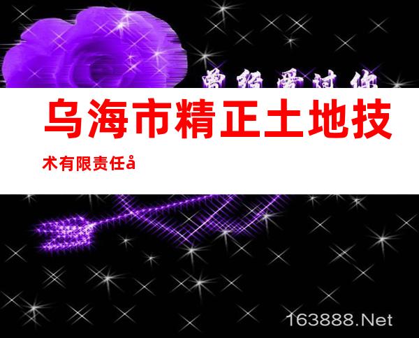 乌海市精正土地技术有限责任公司