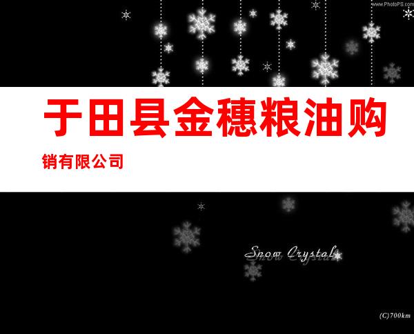 于田县金穗粮油购销有限公司