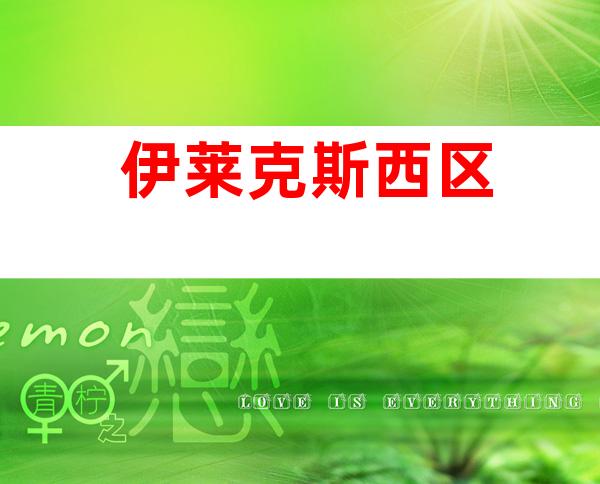 伊莱克斯西区
