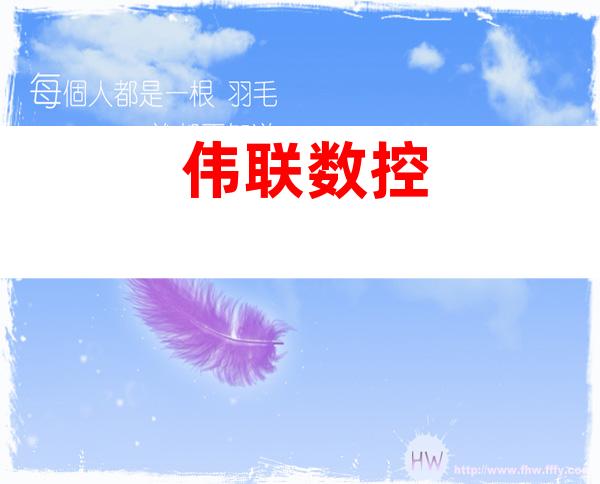 伟联数控