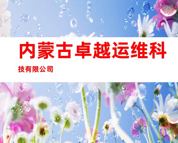 内蒙古卓越运维科技有限公司