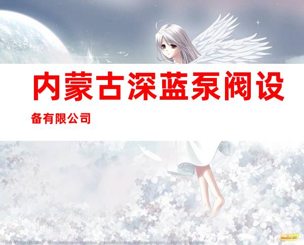 内蒙古深蓝泵阀设备有限公司
