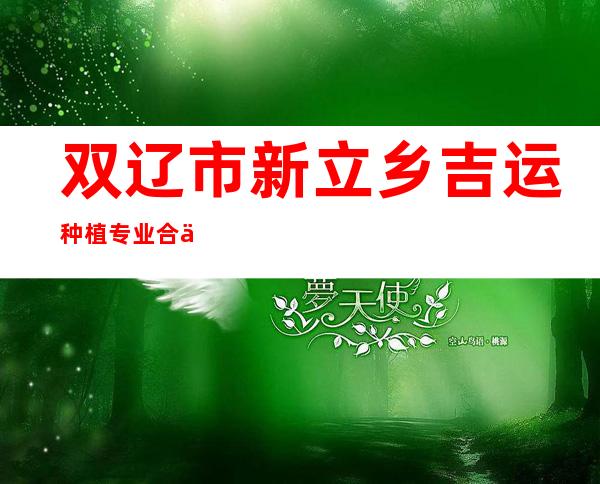 双辽市新立乡吉运种植专业合作社
