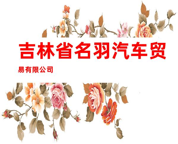 吉林省名羽汽车贸易有限公司