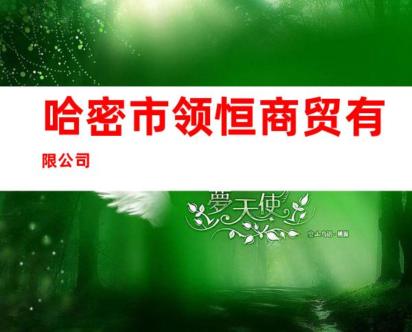 哈密市领恒商贸有限公司