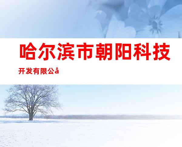 哈尔滨市朝阳科技开发有限公司