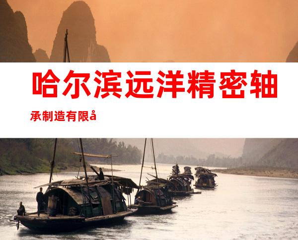 哈尔滨远洋精密轴承制造有限公司销售分公司