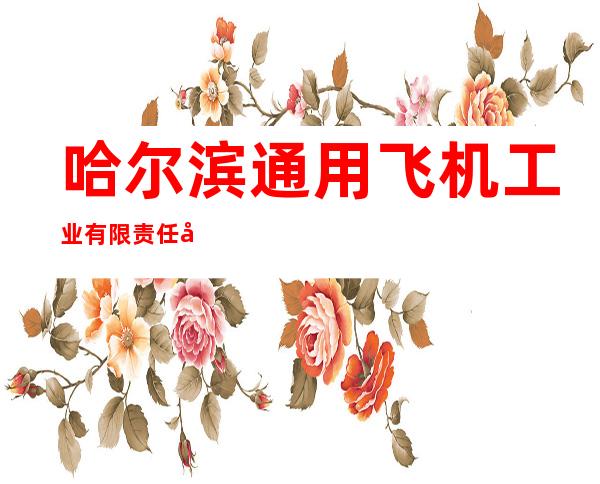 哈尔滨通用飞机工业有限责任公司