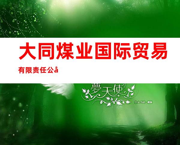 大同煤业国际贸易有限责任公司