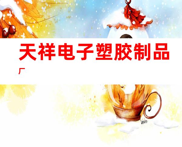 天祥电子塑胶制品厂