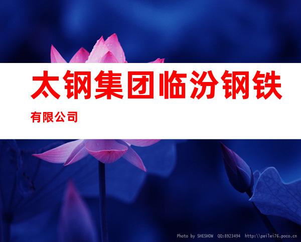 太钢集团临汾钢铁有限公司