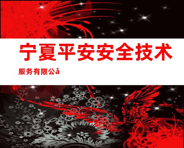 宁夏平安安全技术服务有限公司