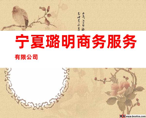 宁夏璐明商务服务有限公司