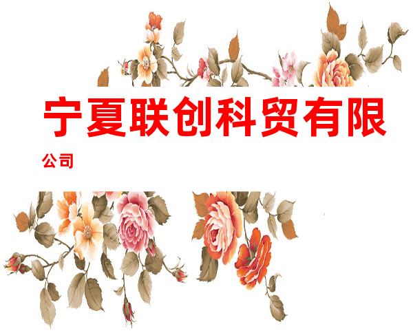 宁夏联创科贸有限公司