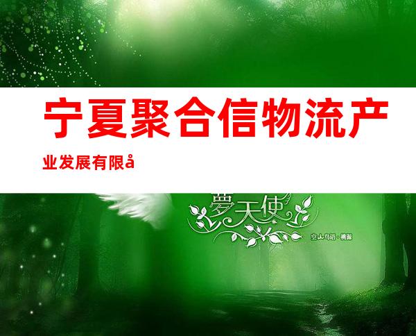 宁夏聚合信物流产业发展有限公司