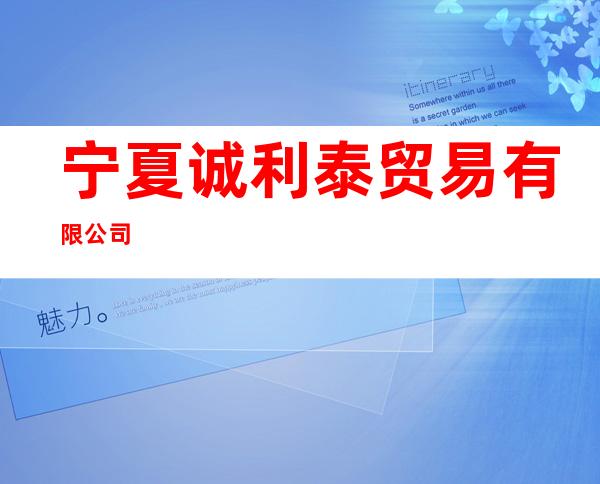 宁夏诚利泰贸易有限公司