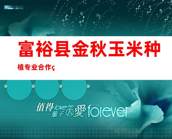 富裕县金秋玉米种植专业合作社