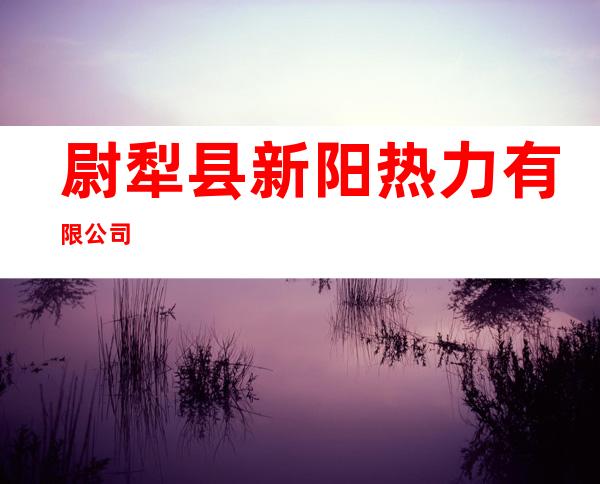 尉犁县新阳热力有限公司