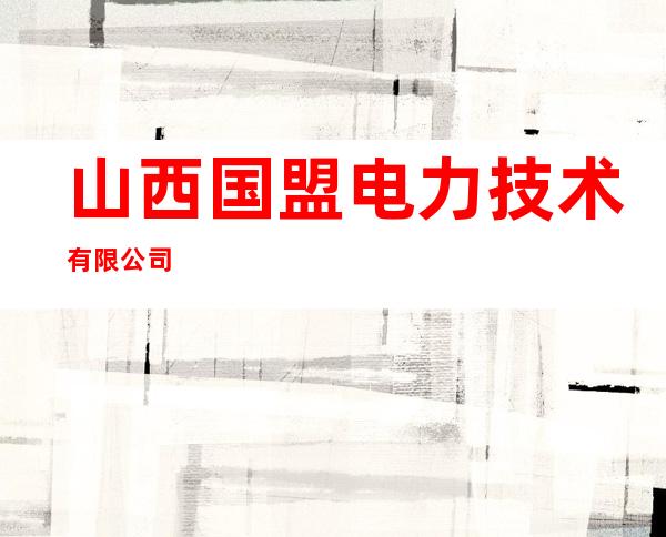 山西国盟电力技术有限公司