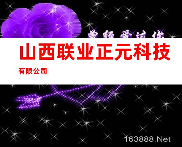 山西联业正元科技有限公司