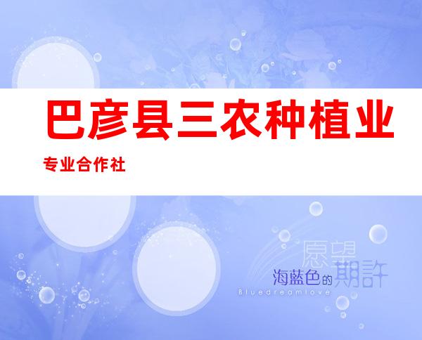 巴彦县三农种植业专业合作社
