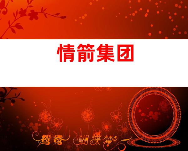 情箭集团