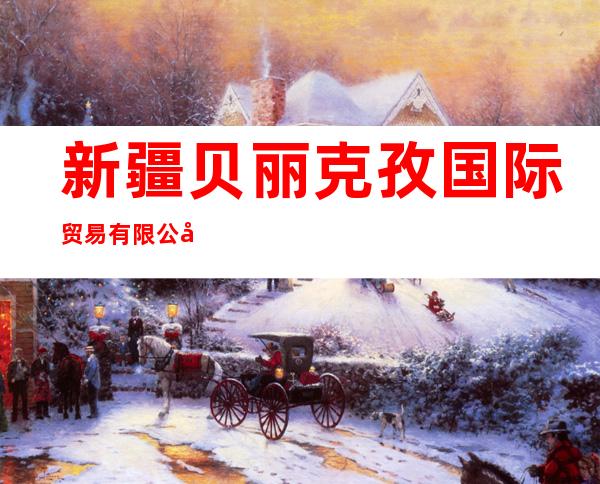 新疆贝丽克孜国际贸易有限公司