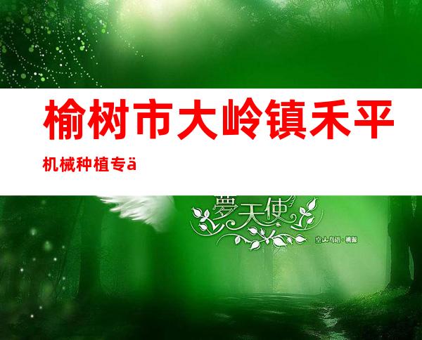 榆树市大岭镇禾平机械种植专业合作社