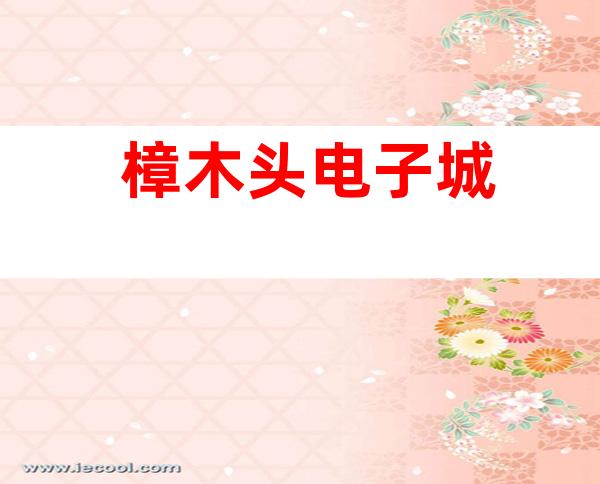 樟木头电子城