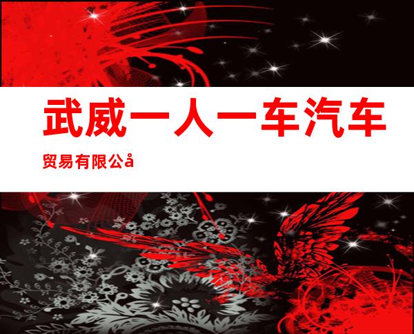 武威一人一车汽车贸易有限公司