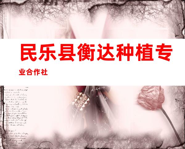 民乐县衡达种植专业合作社