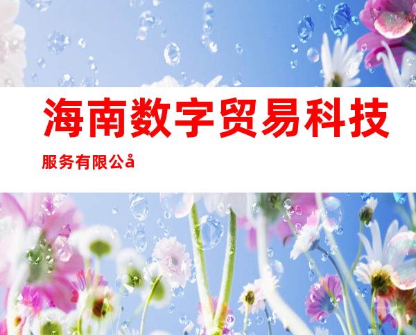 海南数字贸易科技服务有限公司