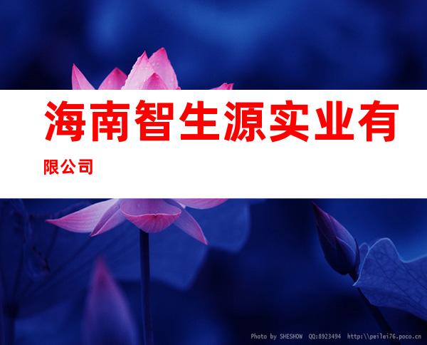 海南智生源实业有限公司