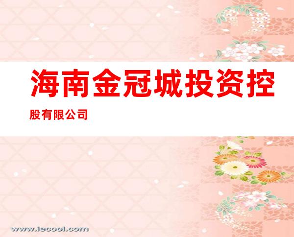 海南金冠城投资控股有限公司