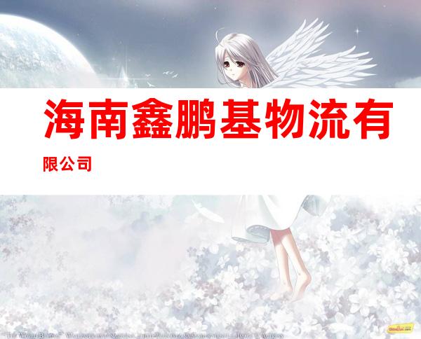 海南鑫鹏基物流有限公司