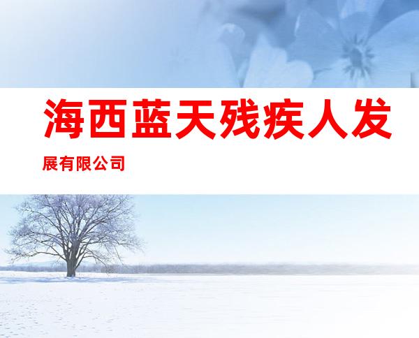 海西蓝天残疾人发展有限公司