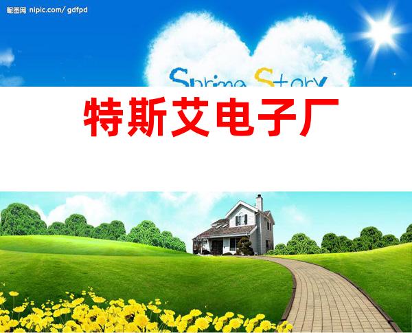 特斯艾电子厂