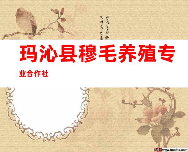 玛沁县穆毛养殖专业合作社