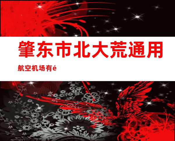 肇东市北大荒通用航空机场有限公司