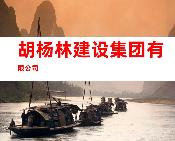 胡杨林建设集团有限公司