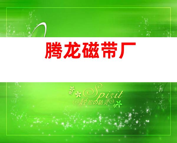 腾龙磁带厂