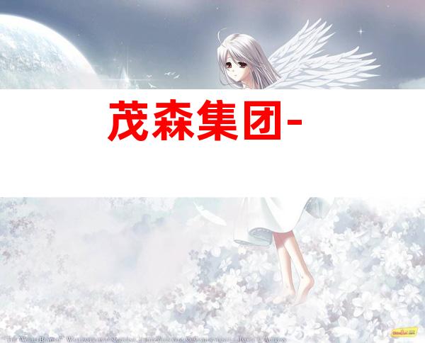 茂森集团-