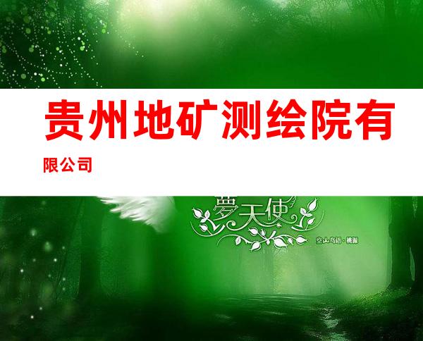 贵州地矿测绘院有限公司